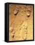 Fossilised Hominid Footprints From Laetoli-Sinclair Stammers-Framed Stretched Canvas