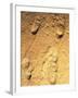 Fossilised Hominid Footprints From Laetoli-Sinclair Stammers-Framed Photographic Print