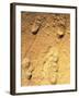 Fossilised Hominid Footprints From Laetoli-Sinclair Stammers-Framed Photographic Print