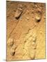 Fossilised Hominid Footprints From Laetoli-Sinclair Stammers-Mounted Photographic Print