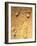 Fossilised Hominid Footprints From Laetoli-Sinclair Stammers-Framed Photographic Print