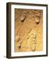 Fossilised Hominid Footprints From Laetoli-Sinclair Stammers-Framed Photographic Print