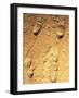 Fossilised Hominid Footprints From Laetoli-Sinclair Stammers-Framed Photographic Print