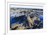 Fossilised Jurassic Age Trees Exposed at Low Tide at Curio Bay, the Catlins, South Island-Michael Runkel-Framed Photographic Print