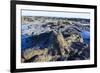 Fossilised Jurassic Age Trees Exposed at Low Tide at Curio Bay, the Catlins, South Island-Michael Runkel-Framed Photographic Print