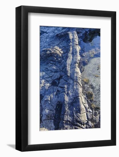 Fossilised Jurassic Age Trees Exposed at Low Tide at Curio Bay, the Catlins, South Island-Michael Runkel-Framed Photographic Print