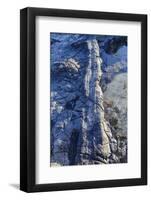 Fossilised Jurassic Age Trees Exposed at Low Tide at Curio Bay, the Catlins, South Island-Michael Runkel-Framed Photographic Print