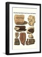 Fossilised (Petrified) Wood, Leaves and Bamboo-James Parkinson-Framed Art Print