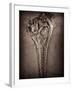 Fossilised Skull of Dinosour. Ichthyosaurus Communis-Clive Nolan-Framed Photographic Print