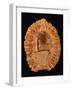 Fossilized Pine Cone-Layne Kennedy-Framed Photographic Print