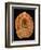 Fossilized Pine Cone-Layne Kennedy-Framed Photographic Print