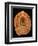 Fossilized Pine Cone-Layne Kennedy-Framed Photographic Print