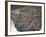 Fossilized Starfish-Layne Kennedy-Framed Photographic Print