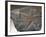 Fossilized Starfish-Layne Kennedy-Framed Photographic Print