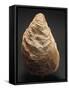 Fossils, Oyster from Mount Loffa, Veneto Region, Italy-null-Framed Stretched Canvas