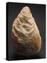 Fossils, Oyster from Mount Loffa, Veneto Region, Italy-null-Stretched Canvas