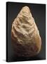 Fossils, Oyster from Mount Loffa, Veneto Region, Italy-null-Stretched Canvas