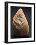 Fossils, Oyster from Mount Loffa, Veneto Region, Italy-null-Framed Giclee Print