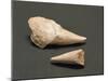 Fossils, Shark Teeth-null-Mounted Giclee Print