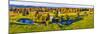 Foster Covered Bridge in fall, Cabot, Washington County, Vermont, USA-null-Mounted Photographic Print