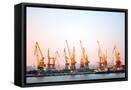 Framed Canvas
