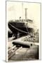 Foto S.S. Algonquin, Clyde Steamship Co., Dampfer-null-Mounted Giclee Print