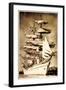 Foto Segelschiff Im Hafen, Dreimaster, Gorck Fock?-null-Framed Giclee Print