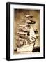 Foto Segelschiff Im Hafen, Dreimaster, Gorck Fock?-null-Framed Giclee Print