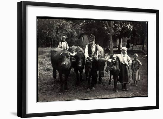 Foto Trachten Serbien, Bauern Bei Nisch Mit Büffeln, Kind, Alter Mann-null-Framed Giclee Print