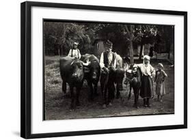 Foto Trachten Serbien, Bauern Bei Nisch Mit Büffeln, Kind, Alter Mann-null-Framed Giclee Print