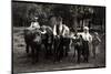 Foto Trachten Serbien, Bauern Bei Nisch Mit Büffeln, Kind, Alter Mann-null-Mounted Giclee Print