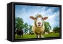 Canvas Black