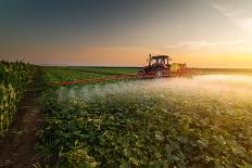 Tractor Spraying Pesticides on Vegetable Field with Sprayer at Spring-Fotokostic-Photographic Print