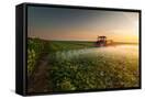 Canvas Black