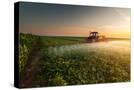 Stretched Canvas