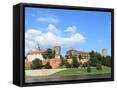 Framed Canvas