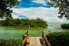 Scenic View of the Florida Keys with Mangroves.-Fotoluminate LLC-Photographic Print