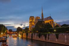 Notre Dame-fotomem-Framed Photographic Print