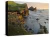 Foula Part, Shetland Islands-Martin Zwick-Stretched Canvas