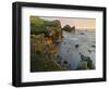 Foula Part, Shetland Islands-Martin Zwick-Framed Photographic Print