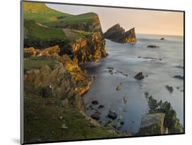 Foula Part, Shetland Islands-Martin Zwick-Mounted Photographic Print