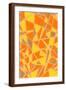 Brown Frame