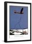 Black Frame