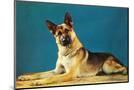 Wood Mount