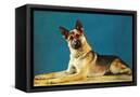 Canvas Black