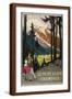Brown Frame