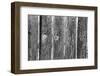 Found Textures II-Jason Johnson-Framed Photographic Print