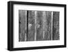 Found Textures II-Jason Johnson-Framed Photographic Print