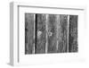 Found Textures II-Jason Johnson-Framed Photographic Print