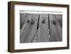 Found Textures V-Jason Johnson-Framed Photographic Print